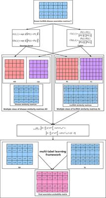 Multiview Consensus Graph Learning for lncRNA–Disease Association Prediction